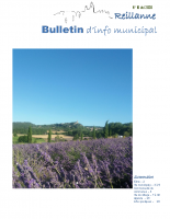 Bulletin municipal juin 2020