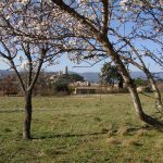 Photo de Reillanne